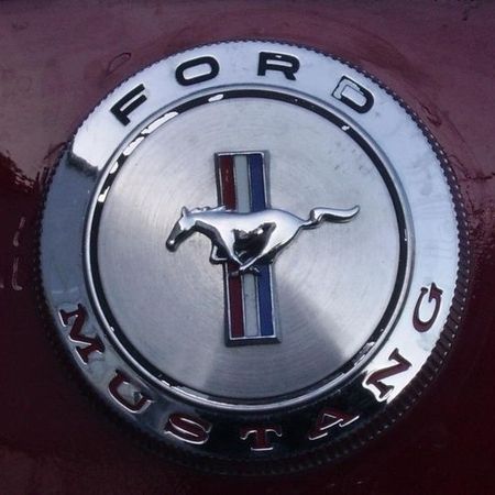 Ford Mustang aufpoliertes Logo am Auto.